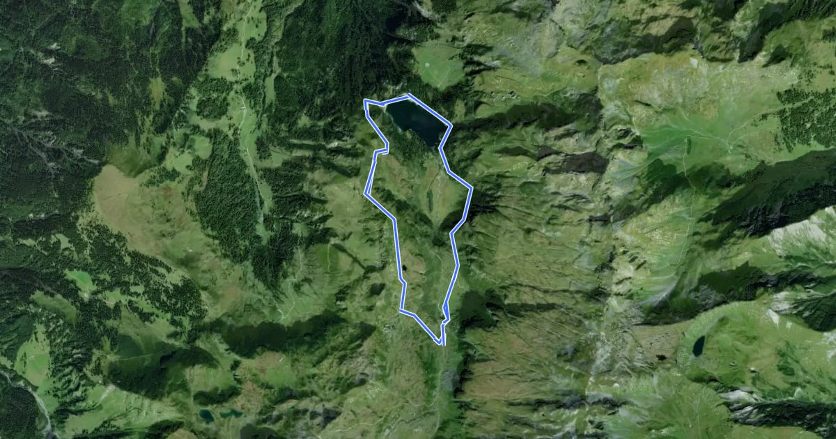 Маршрут Chärpfbrugg Rundweg на спутниковом снимке