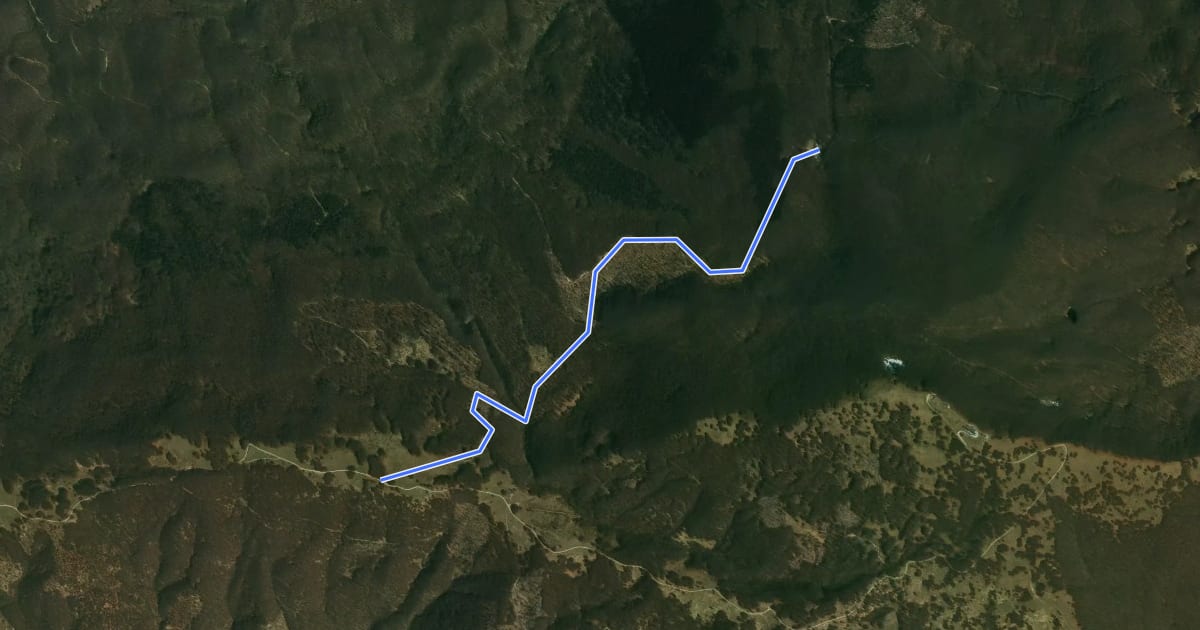 Маршрут Chalet - Monte Borraccia di sotto на спутниковом снимке