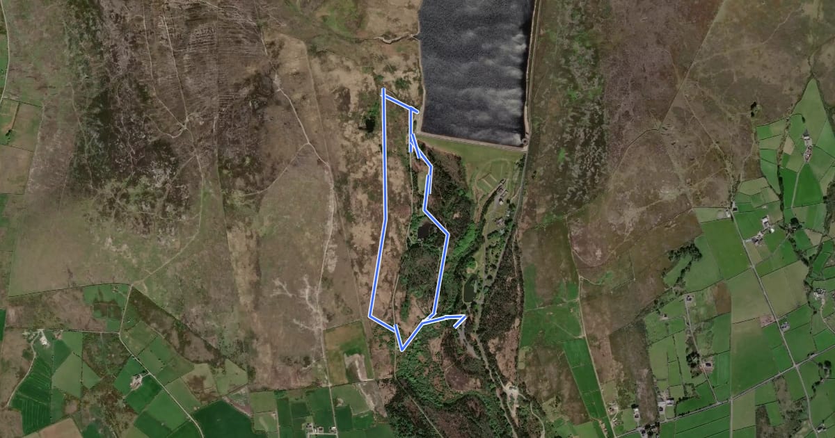 Маршрут Challenge Trail на спутниковом снимке