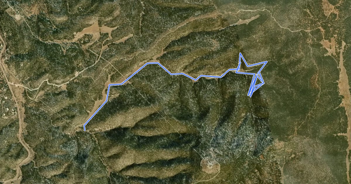Маршрут Chamisoso Trail на спутниковом снимке