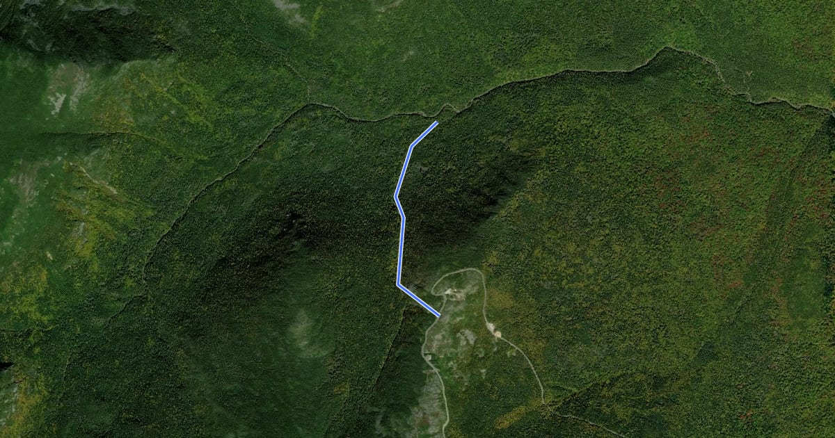 Маршрут Chandler Brook Trail на спутниковом снимке