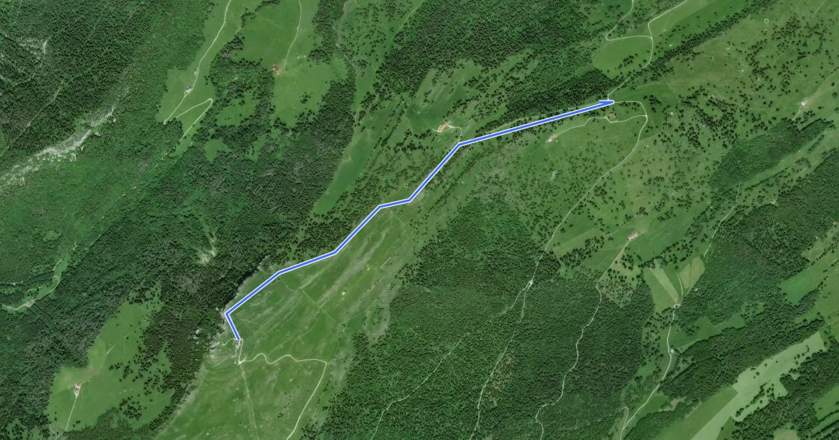 Маршрут Chasseron-Les Illars на спутниковом снимке