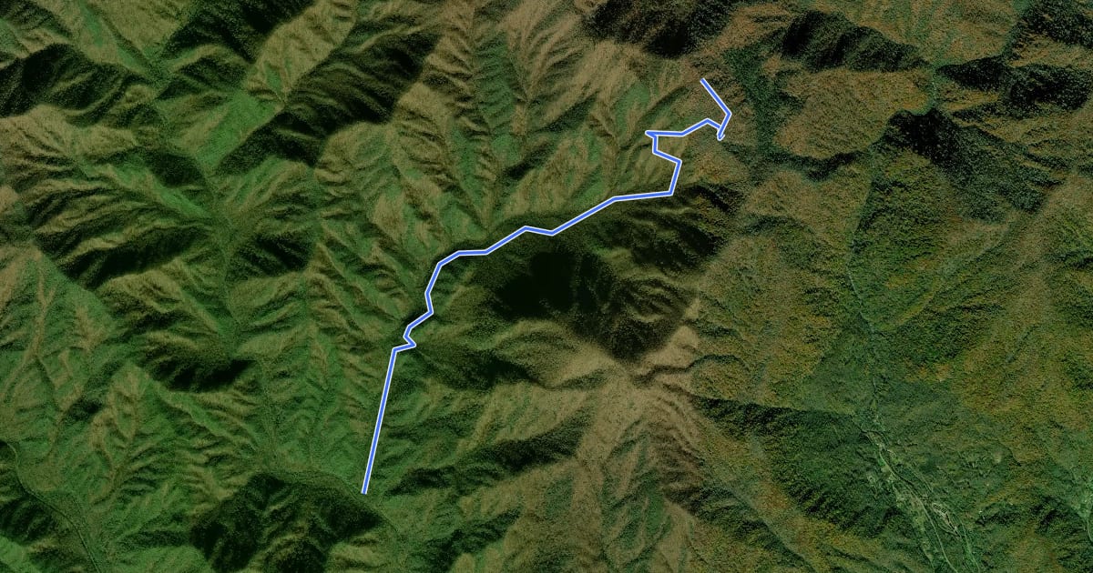 Маршрут Chasteen Creek Trail на спутниковом снимке
