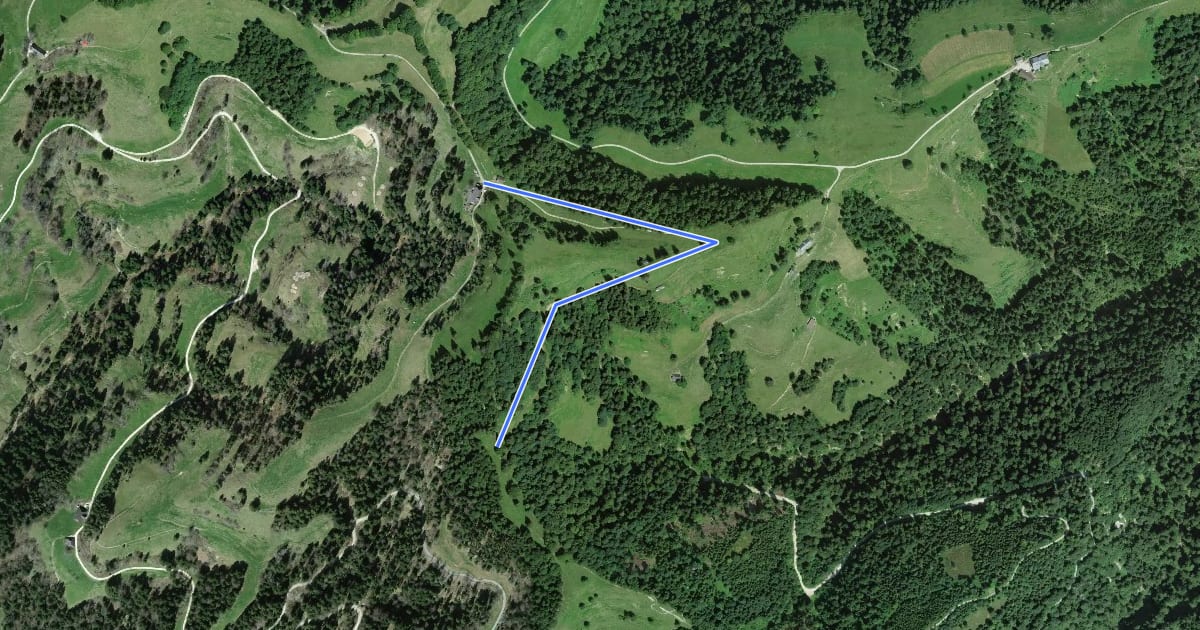 Маршрут Chatzerschwand на спутниковом снимке
