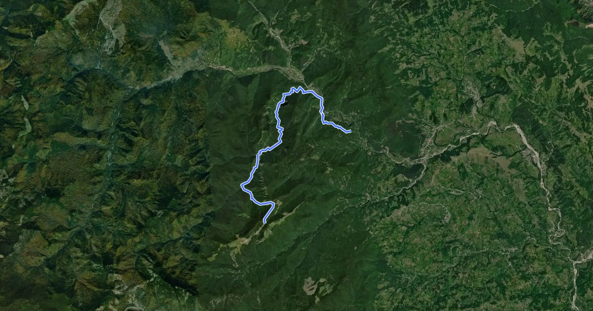 Маршрут Cheile Tișiței  – Pârâul Cristianu  – Golul Roibului  – Șaua Geamăna (red triangle) на спутниковом снимке