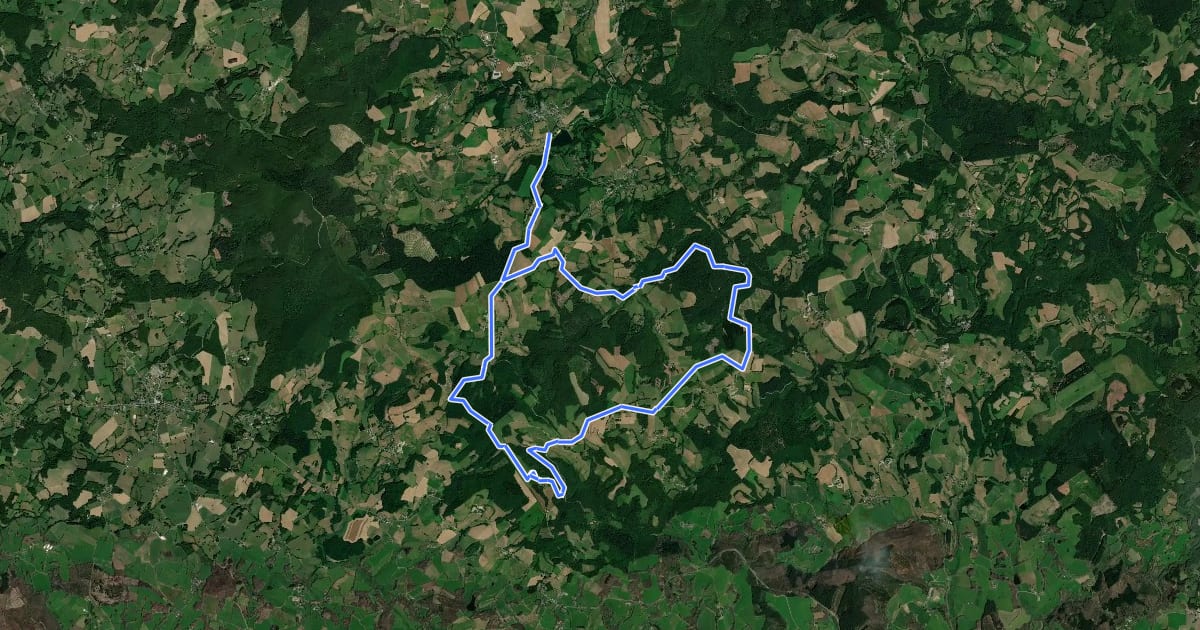 Маршрут Chemin de Sussac au Mont Gargan на спутниковом снимке