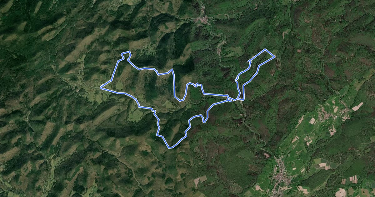 Маршрут Chemin des Châteaux forts d'Alsace équestre-boucle на спутниковом снимке