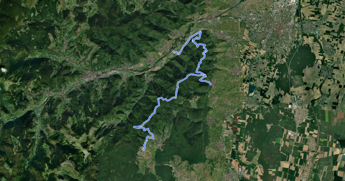 Маршрут Chemin des Châteaux forts d'Alsace équestre-section 12 на спутниковом снимке