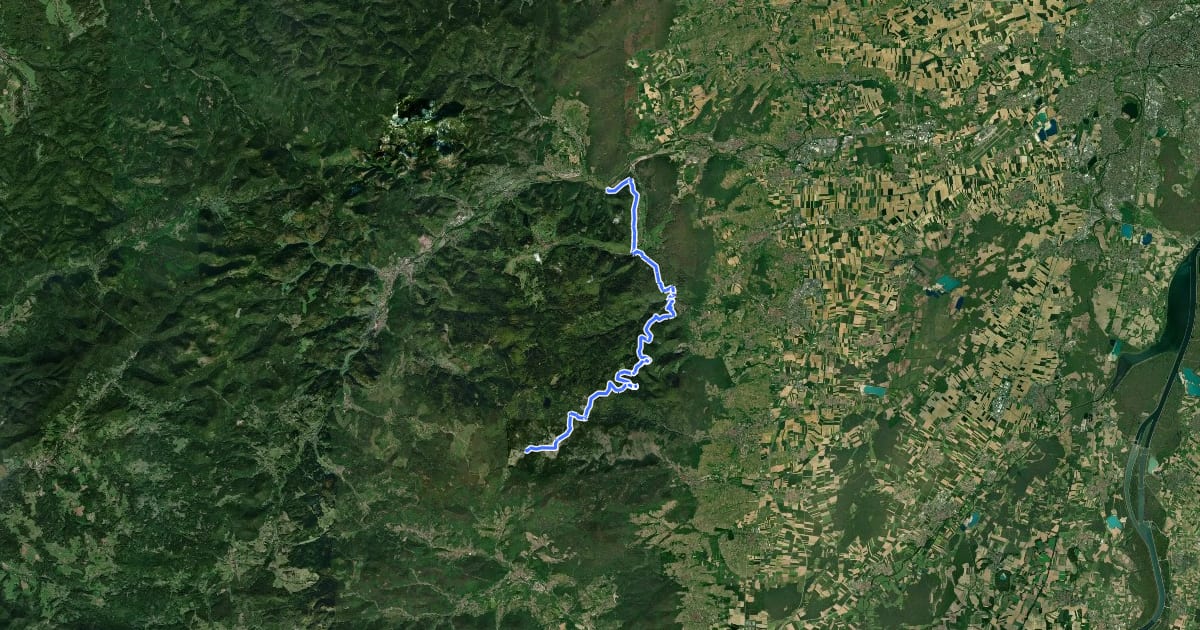 Маршрут Chemin des Châteaux forts d'Alsace équestre-section 7 на спутниковом снимке