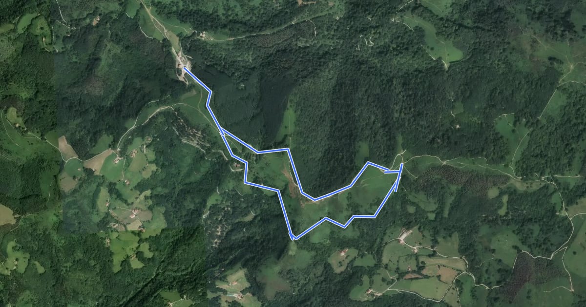 Маршрут Chemin des Palombières на спутниковом снимке