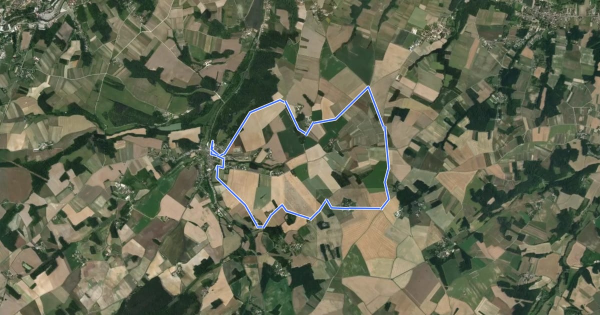 Маршрут Chemin des vignes на спутниковом снимке