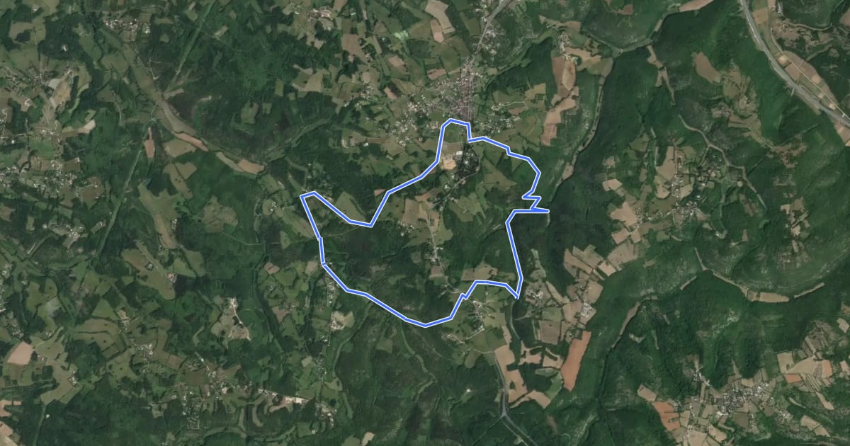 Маршрут Chemin du fond du Bois на спутниковом снимке