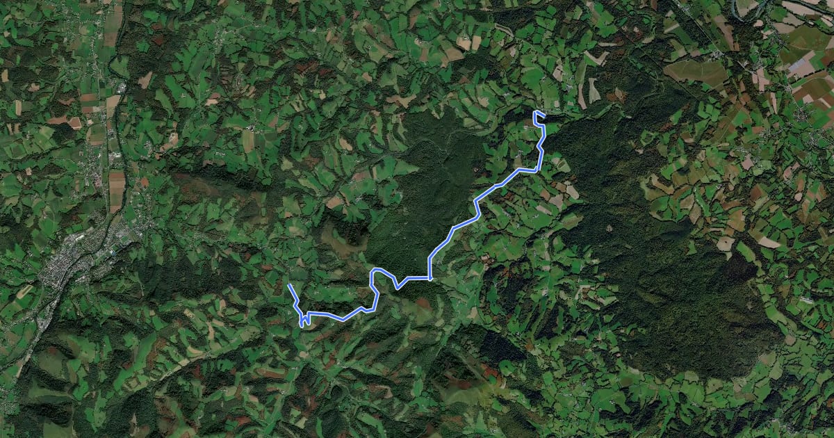 Маршрут Chemin du Piémont Pyrénéen на спутниковом снимке