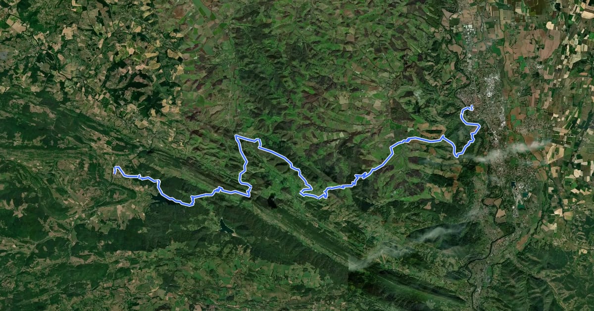 Маршрут Chemin du Piémont Pyrénéen на спутниковом снимке