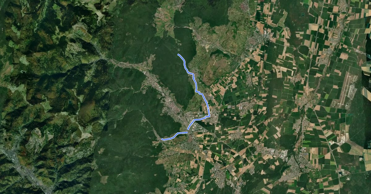 Маршрут Chemins de Saint-Jacques de Compostelle Variante vers le couvent d'Issenheim на спутниковом снимке