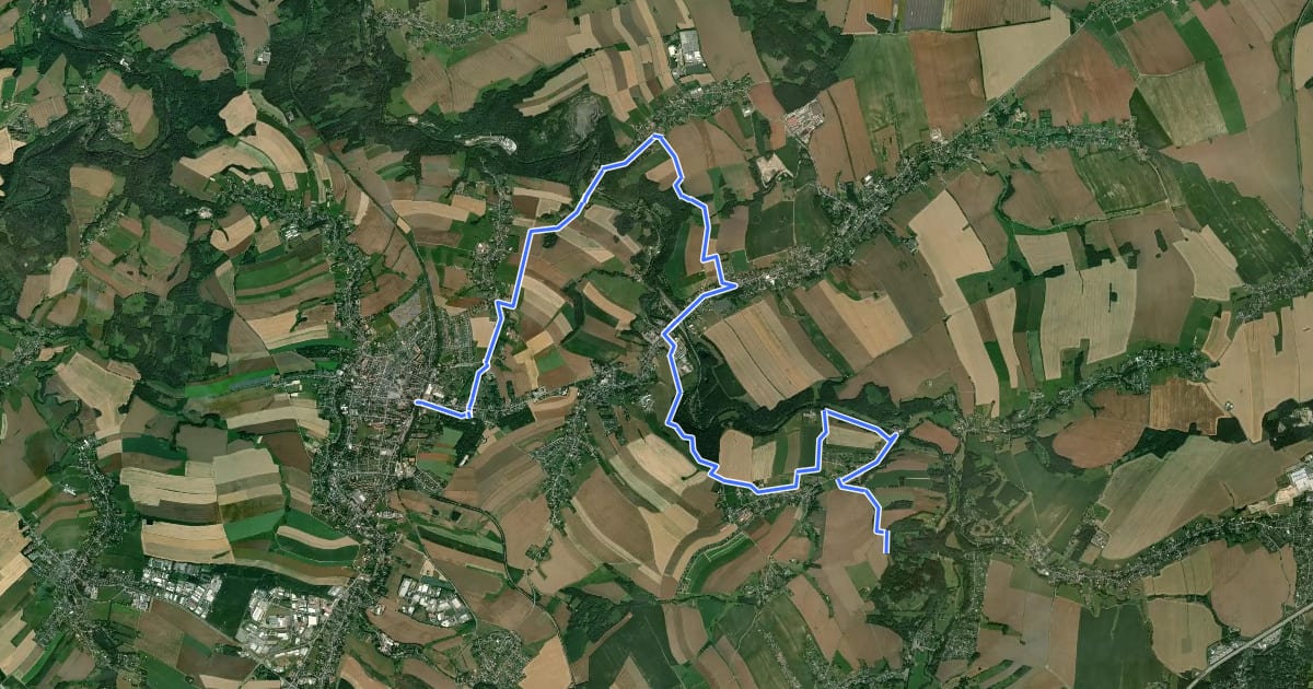 Маршрут Chemnitztalweg Wittgensdorf – Burgstädt на спутниковом снимке