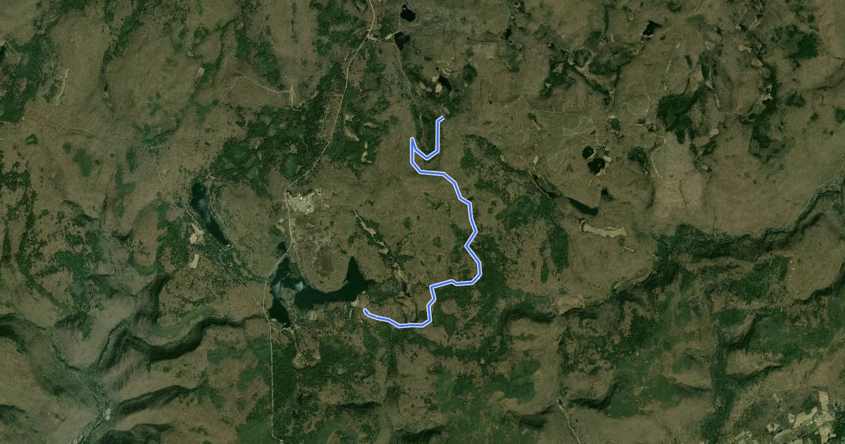 Маршрут Cherry Run Trail на спутниковом снимке