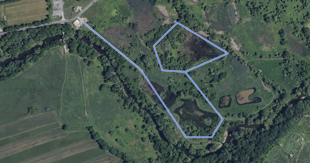 Маршрут Cheslen Preserve - Blue Loop на спутниковом снимке