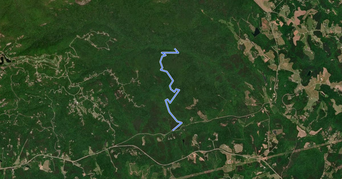Маршрут Chestnut Ridge Trail на спутниковом снимке