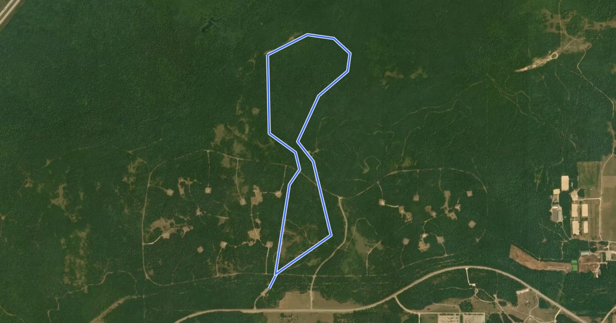 Маршрут Chickadee Trail на спутниковом снимке