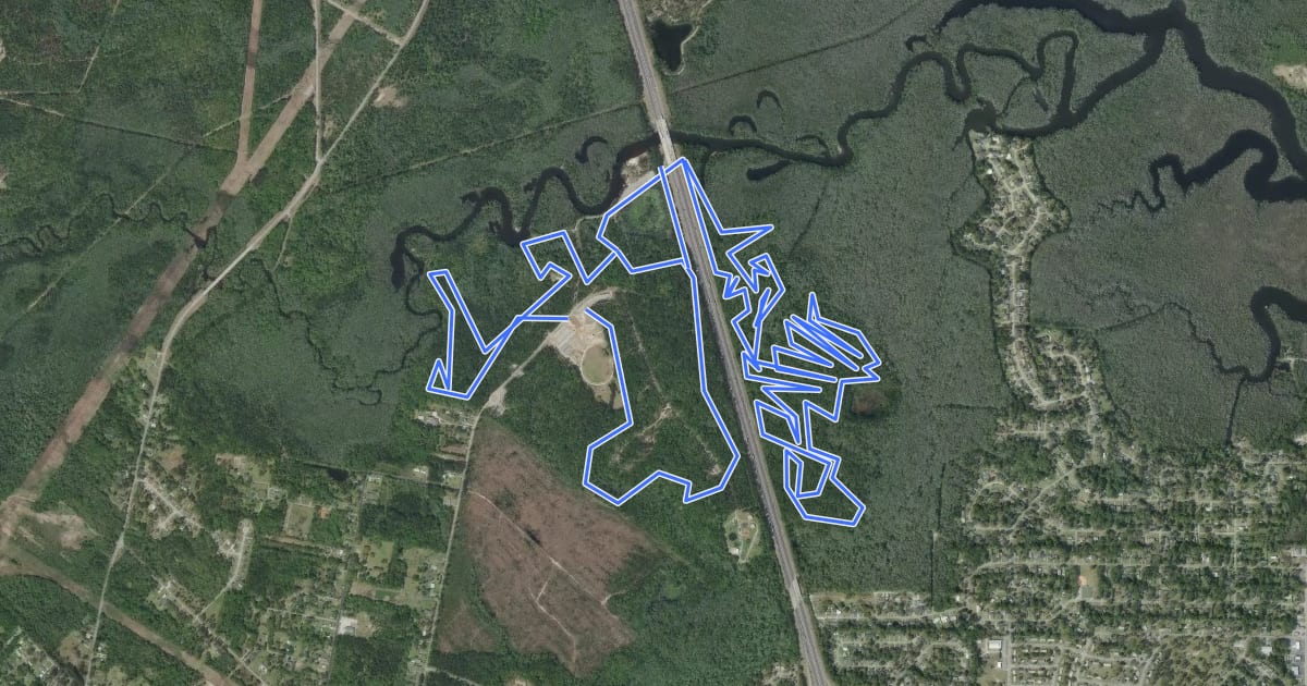 Маршрут Chickasabogue Park MTB Trails на спутниковом снимке