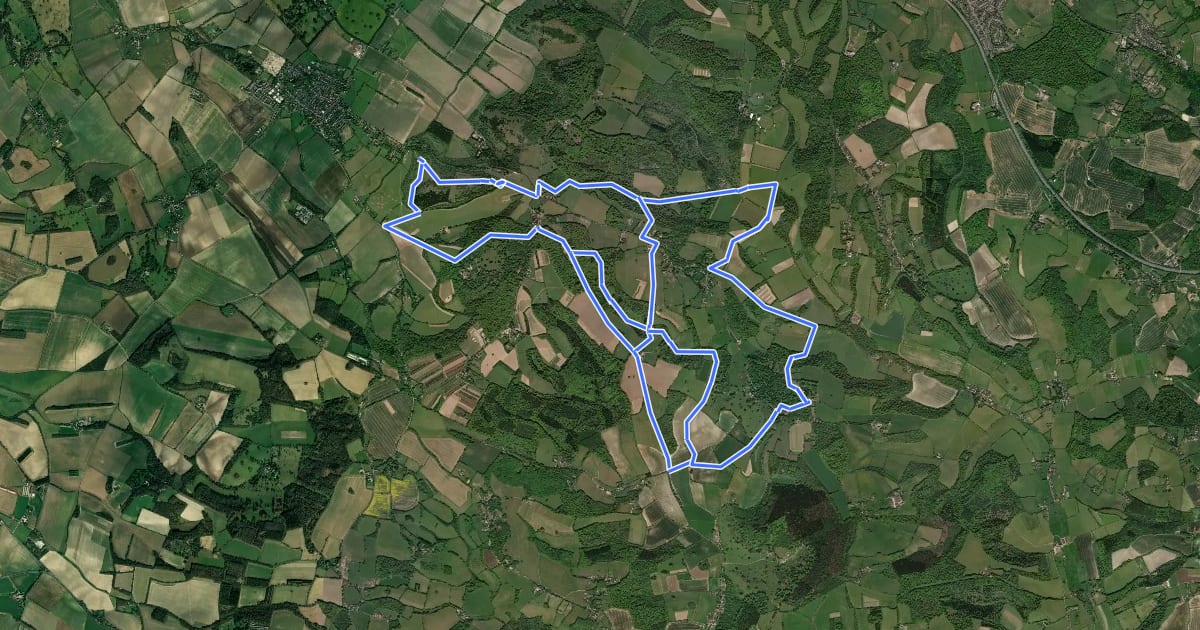 Маршрут Chiltern Escarpment and Woodland Walk, Central Chilterns на спутниковом снимке