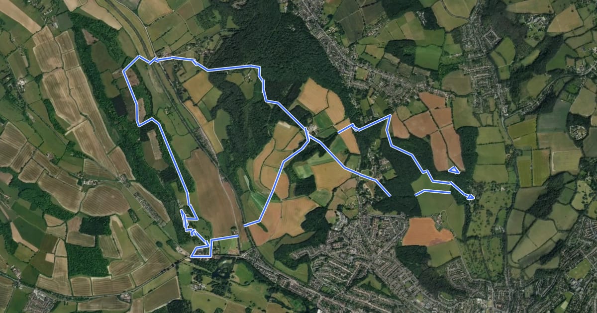 Маршрут Chiltern Hills Three-in-One walk, Central Chilterns на спутниковом снимке