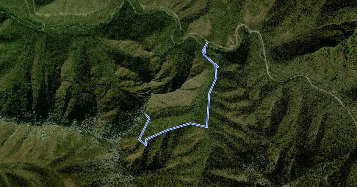 Маршрут Chimney Tops Trail на спутниковом снимке