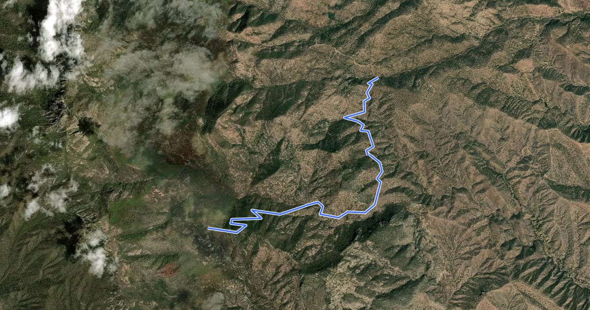 Маршрут Chinaman Trail #137 на спутниковом снимке