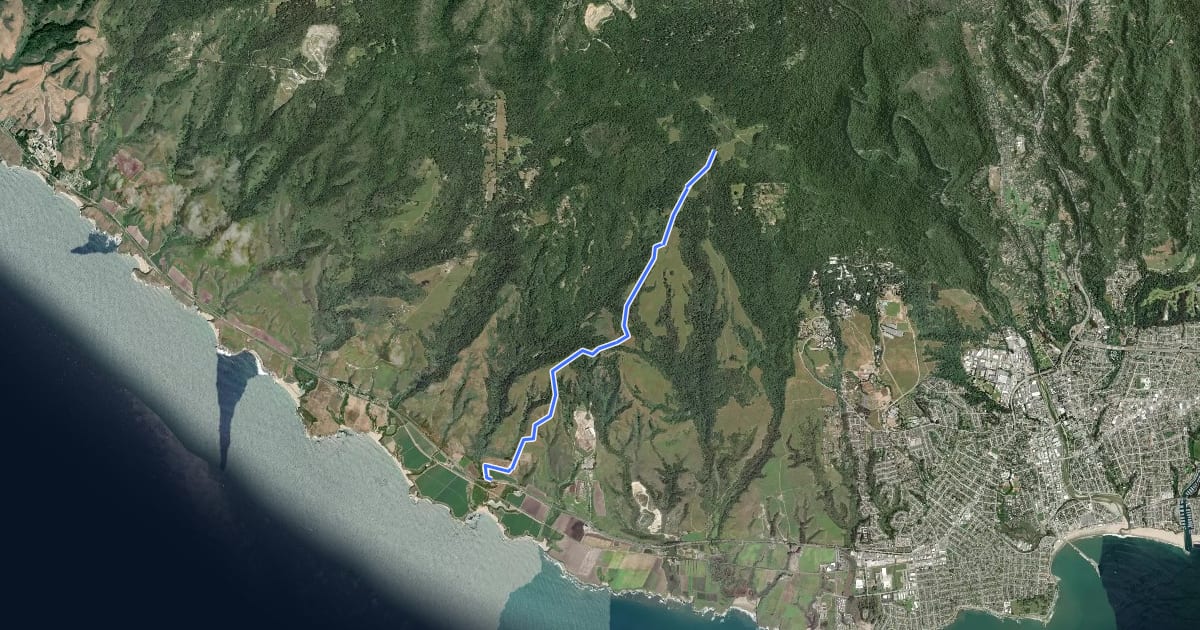 Маршрут Chinquapin Trail на спутниковом снимке