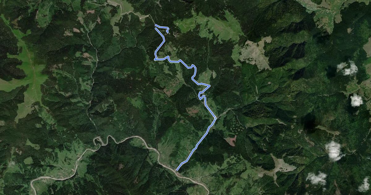 Маршрут Chiril – DJ175A Transrarău – Hotel Rarău (blue dot) на спутниковом снимке
