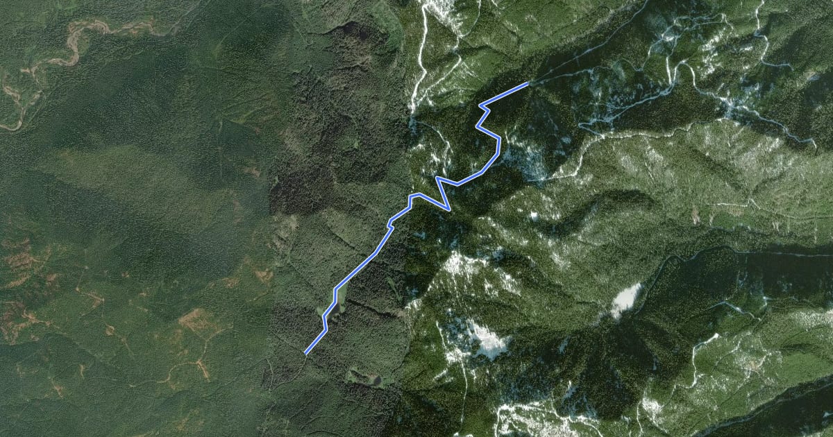 Маршрут Church Creek Trail #871 на спутниковом снимке