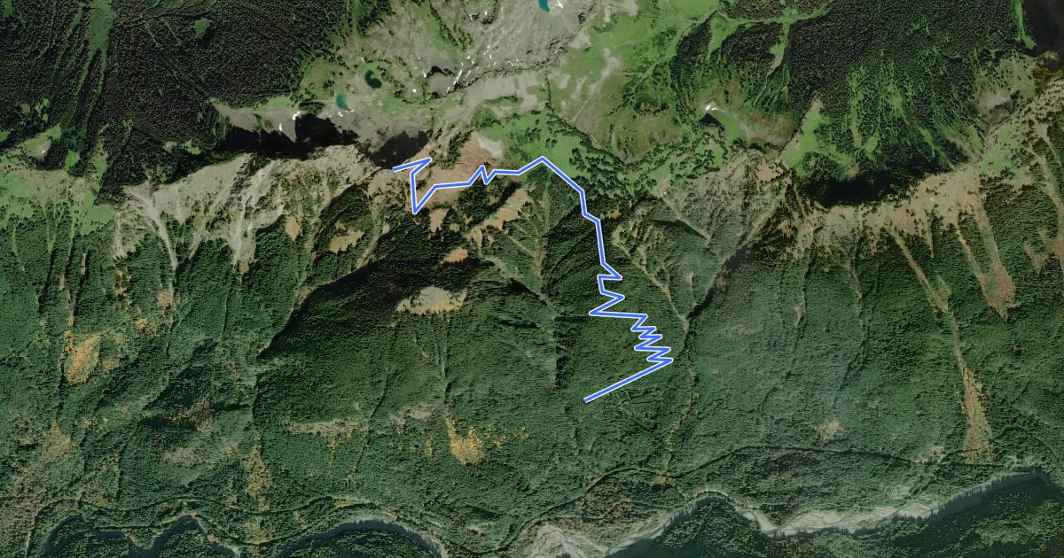 Маршрут Church Mountain Trail на спутниковом снимке