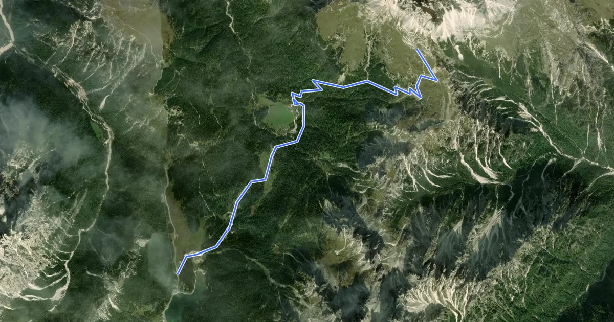 Маршрут Ciclabile Tre Cime - Misurina на спутниковом снимке