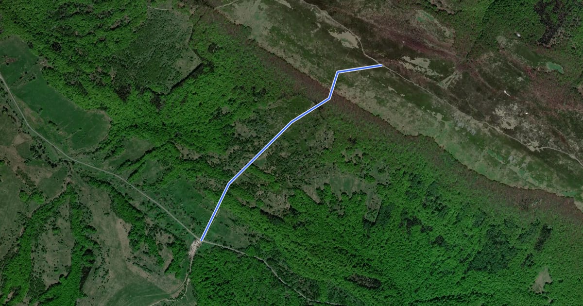 Маршрут Ścieżka przyrodnicza Połonina Caryńska "Buk zwyczajny" (wariant A) на спутниковом снимке