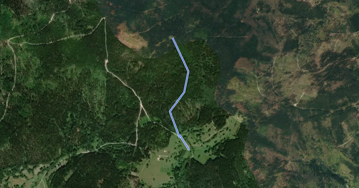 Маршрут Ścieżka spacerowa żółta на спутниковом снимке