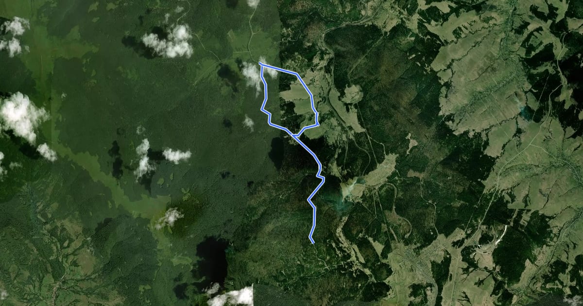 Маршрут Ścieżka w dolinie Górnego Sanu на спутниковом снимке