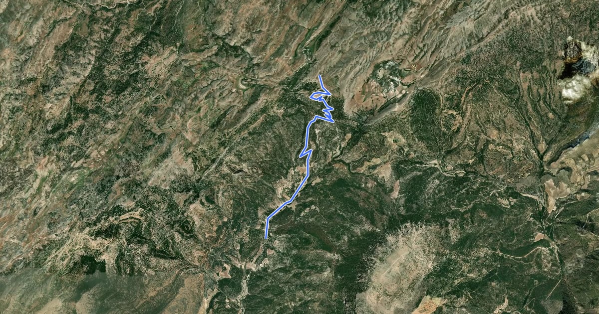 Маршрут [CIMA GR02] La Losa * Río Raigadas (sur) на спутниковом снимке