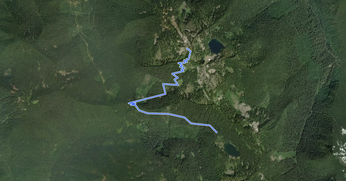 Маршрут Circle Peak Trail на спутниковом снимке