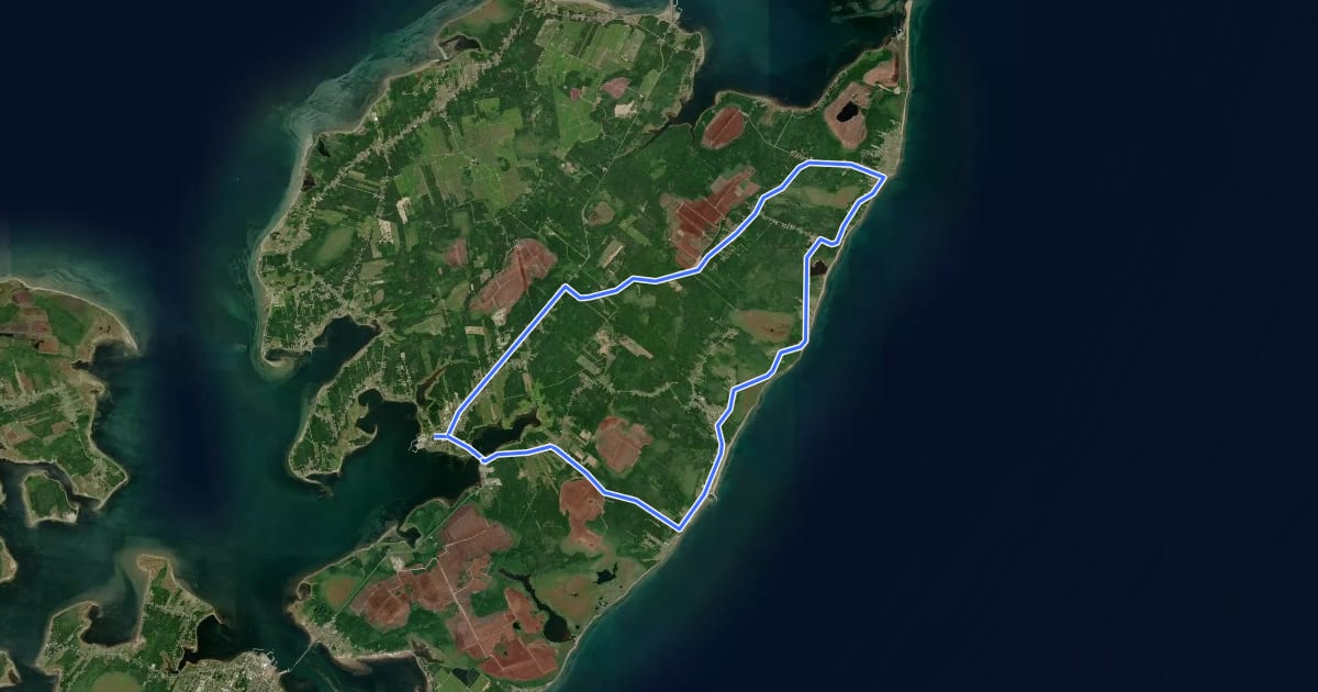Маршрут Circuit 1 на спутниковом снимке