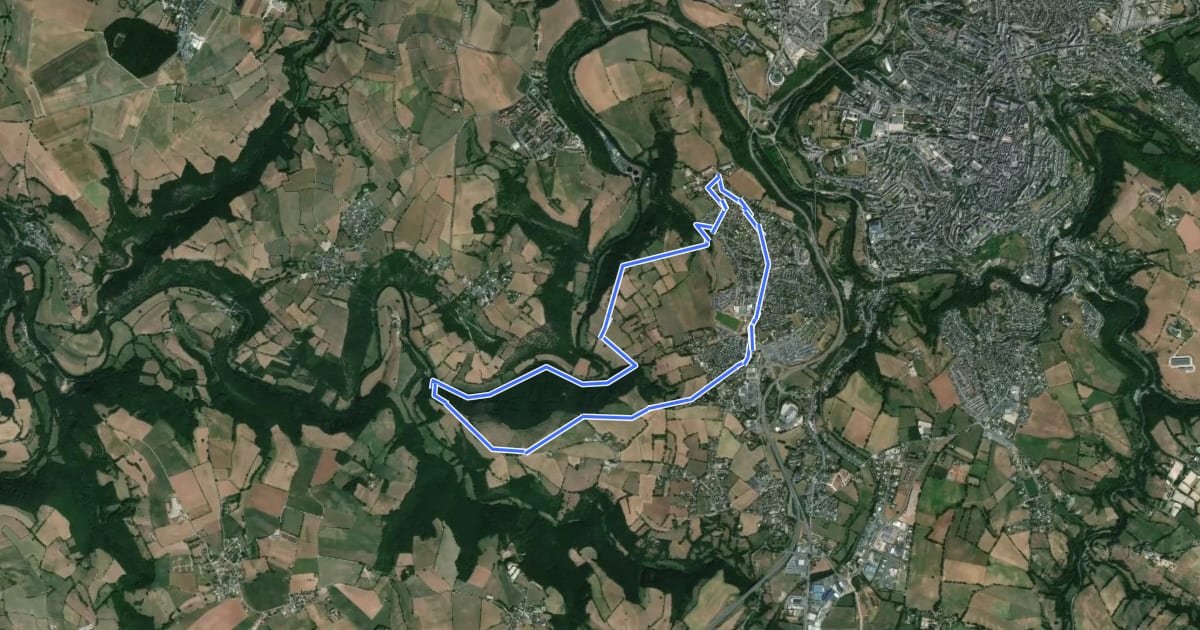 Маршрут Circuit 7 Le Bois de Linars на спутниковом снимке