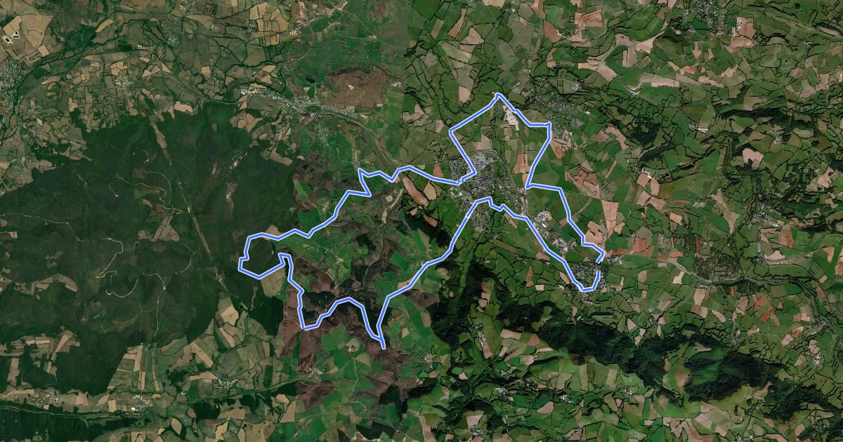 Маршрут Circuit 8 Forêt des Palanges на спутниковом снимке