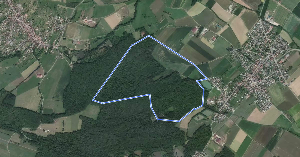 Маршрут Circuit Aspach-le-Haut на спутниковом снимке