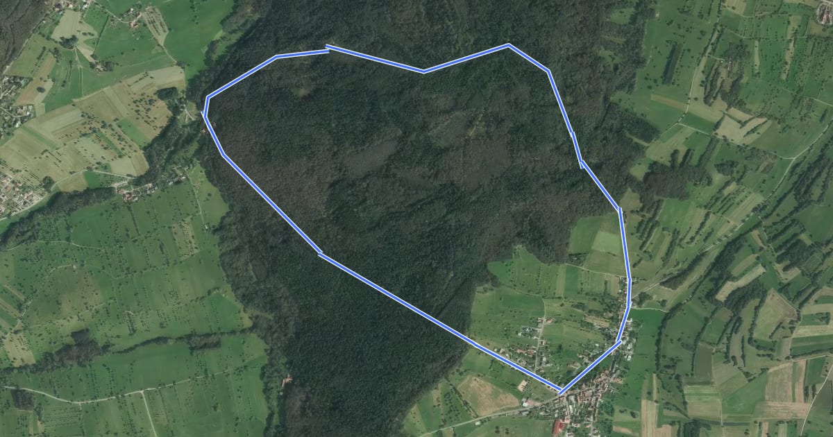 Маршрут Circuit "Autour de Dimbsthal" на спутниковом снимке