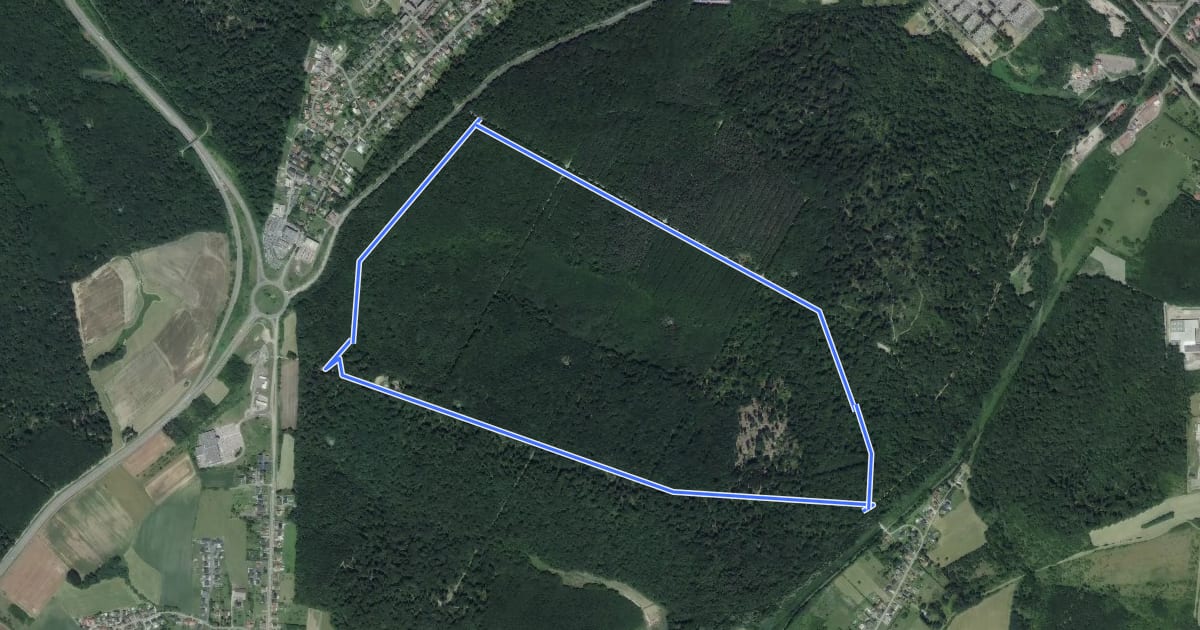 Маршрут Circuit Buchholz на спутниковом снимке