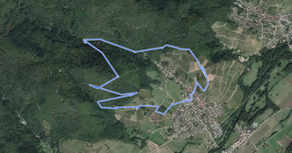 Маршрут Circuit Chêne de la Vierge на спутниковом снимке