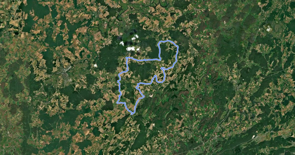 Маршрут Circuit Cyclotouriste du Pays Gylois на спутниковом снимке