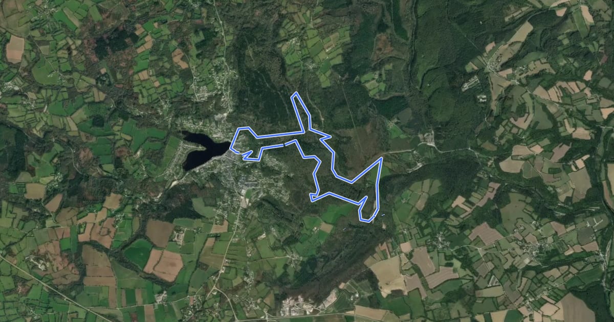 Маршрут Circuit Découverte на спутниковом снимке