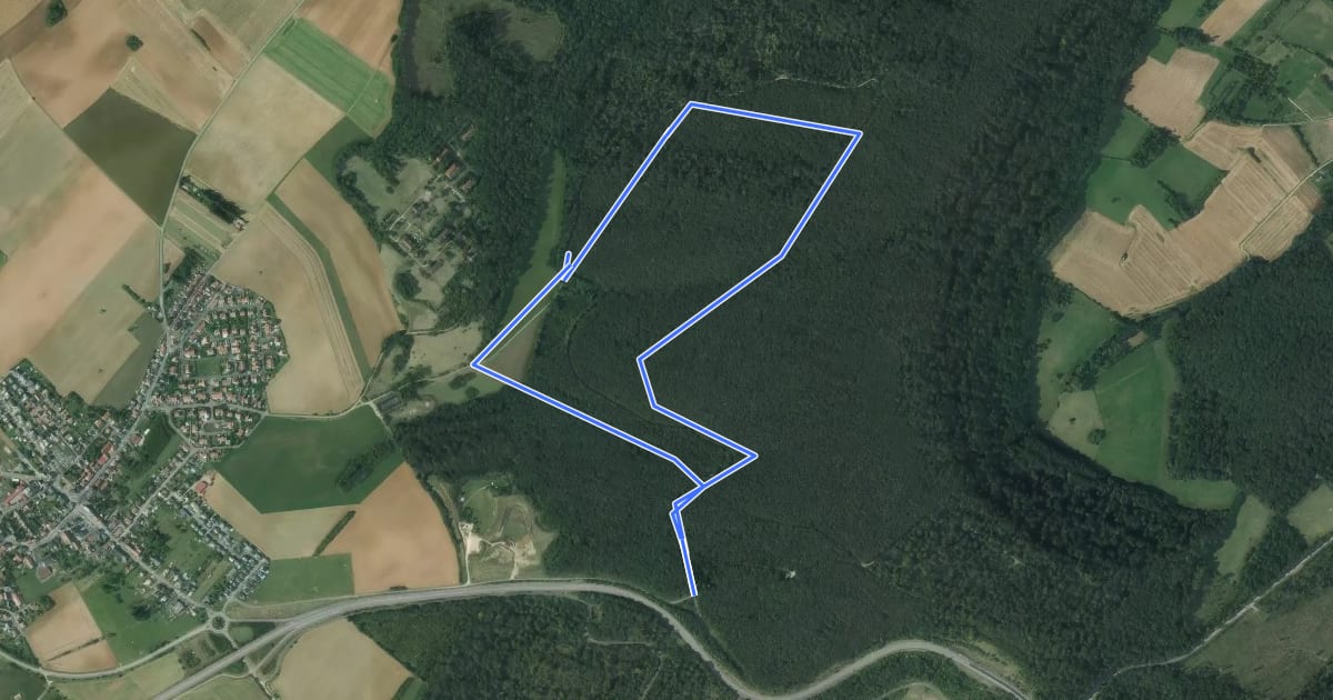 Маршрут Circuit de Chalet - Bois de la Côte на спутниковом снимке