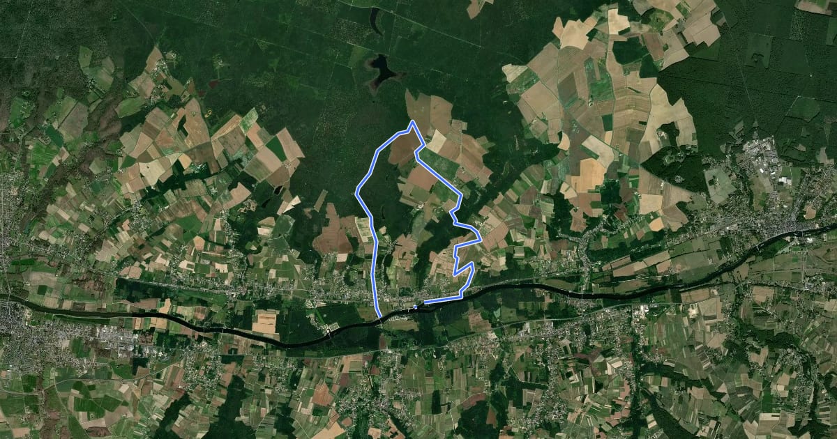 Маршрут Circuit de Chisseaux на спутниковом снимке